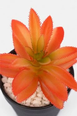 Adika Tangerine Faux Potted Succulent