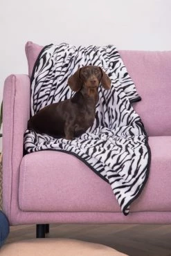 Adika Safari Flannel Dog Blanket