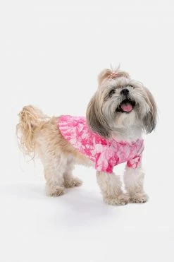 Adika OUTLET Tie-Dye Dog Tee