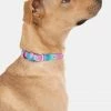 Adika Adika ❤ Dogs Styler Dog Collar