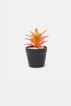 Adika Tangerine Faux Potted Succulent