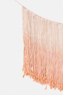 Adika Rhodes Ombré Macramé Fringe Wall Hanging