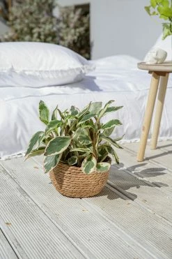 Adika Queens Woven Basket