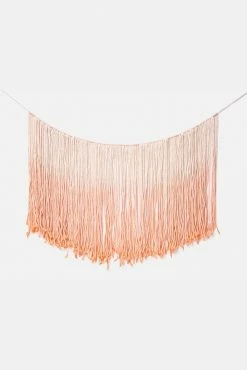 Adika Rhodes Ombré Macramé Fringe Wall Hanging